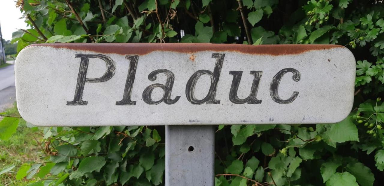 Domaine De Pladuc Panzió Lachaise Kültér fotó