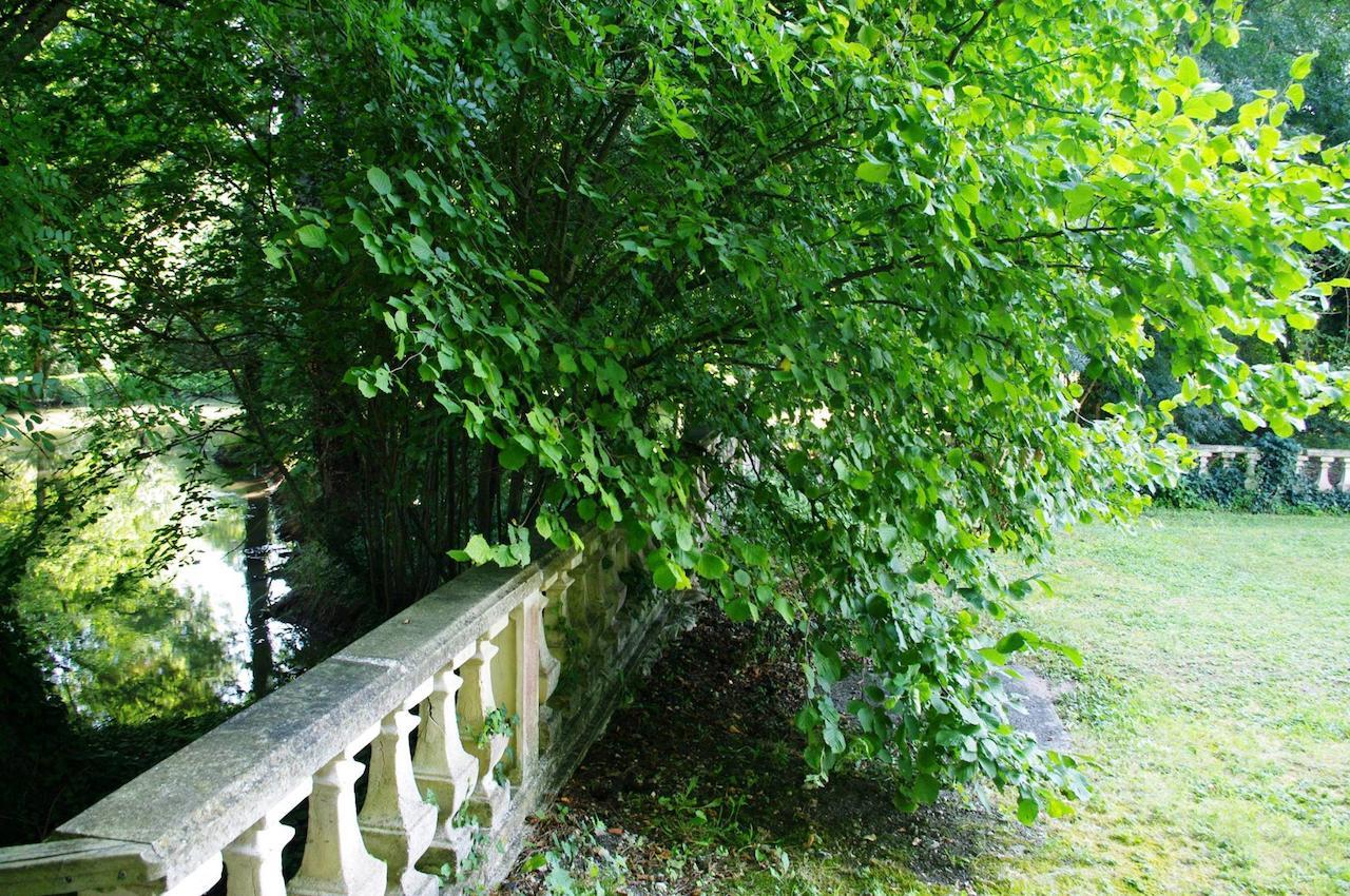 Domaine De Pladuc Panzió Lachaise Kültér fotó